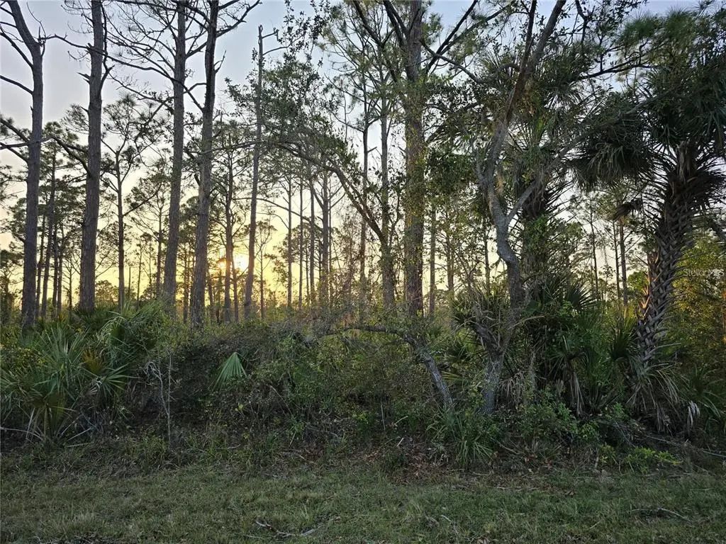 2497 Hoover Street, PORT CHARLOTTE