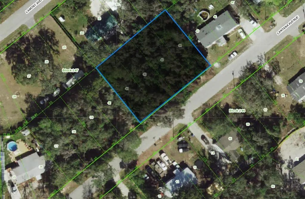 Lantana Avenue, NEW PORT RICHEY