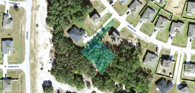 224 Begonia Lane, POINCIANA