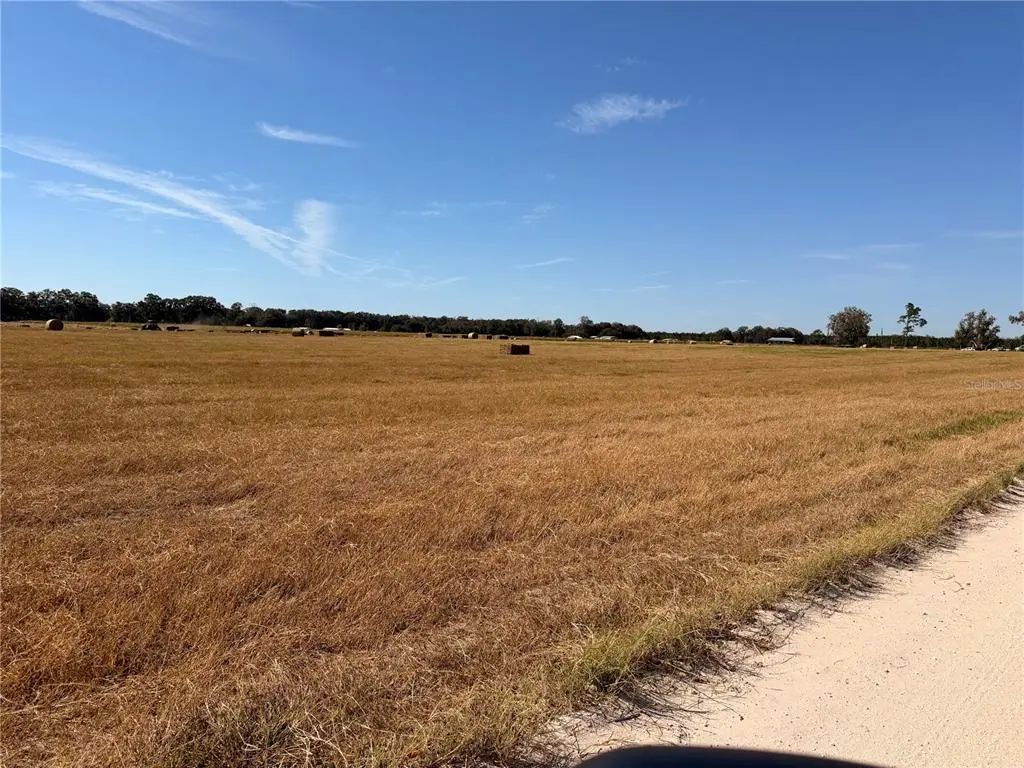 85th Road, O'BRIEN