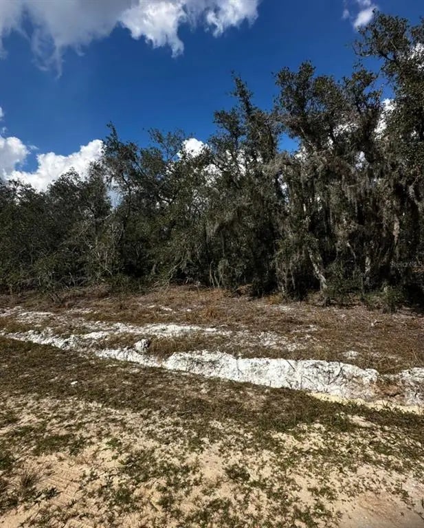 Allison Avenue, LAKE WALES