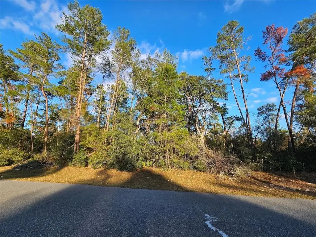 Sw 33rd Terrace, OCALA