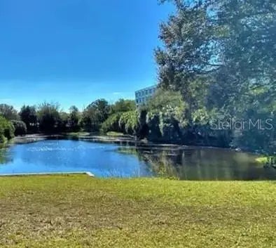 701 S Madison Avenue 106, CLEARWATER