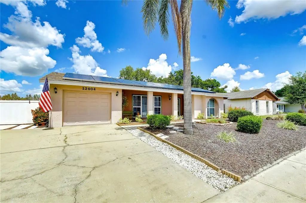 12604 Trucious Place, TAMPA