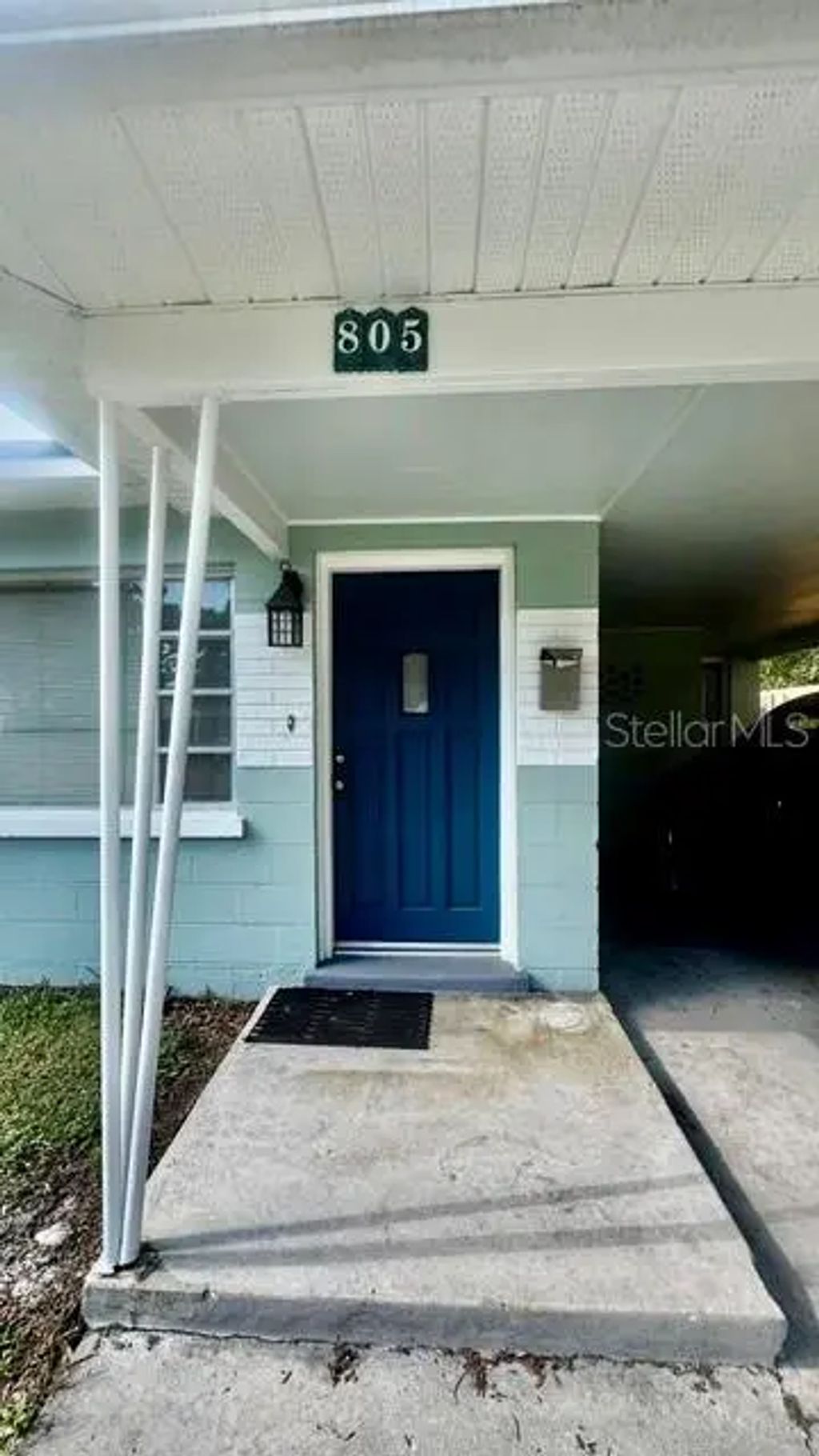 805 W Virginia Avenue, TAMPA