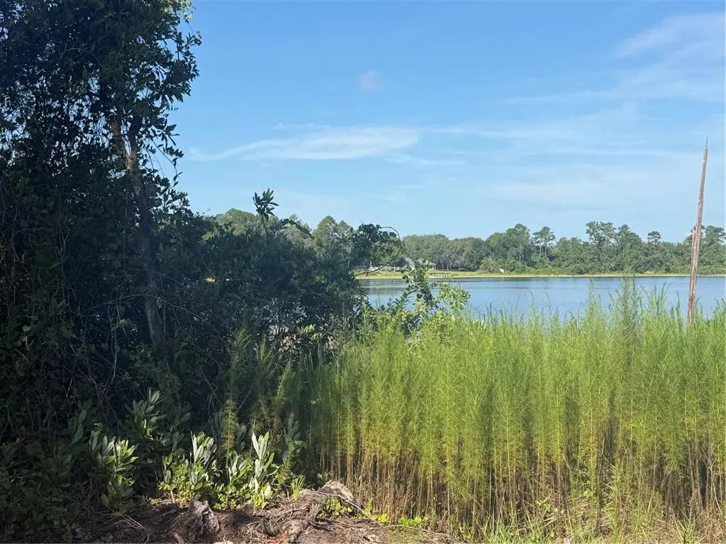 Tbd Malauka Radial, OCKLAWAHA