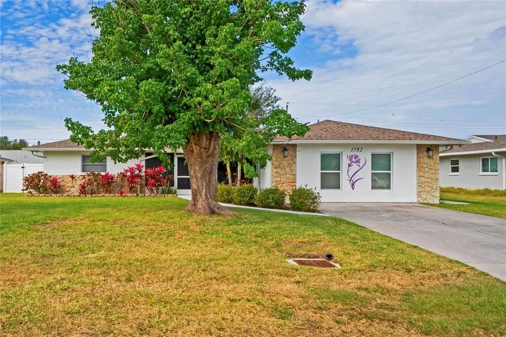 Photo of Listing #TB8350694