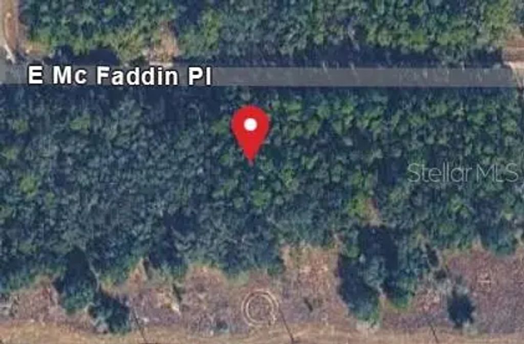 389 E Mc Faddin Place E, DUNNELLON