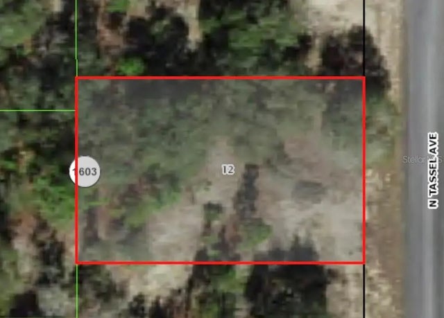 6706 N Tassel Terrace, CITRUS SPRINGS