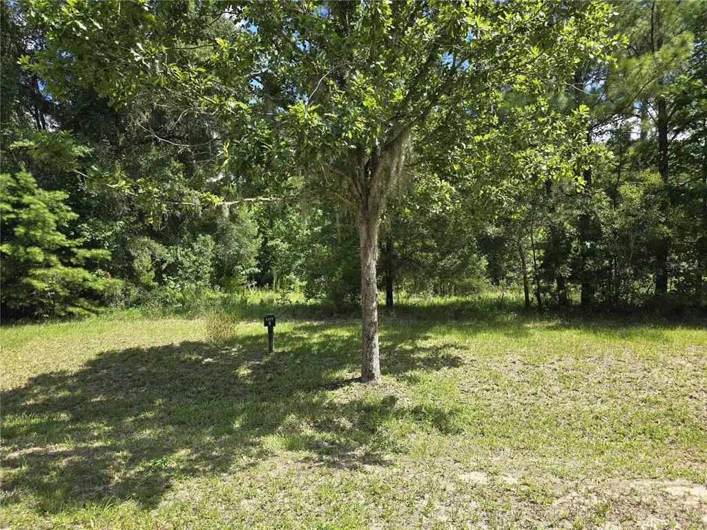 8911 Nw 58th Lane, GAINESVILLE