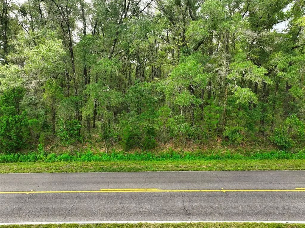17215 Nw 94th Avenue, ALACHUA