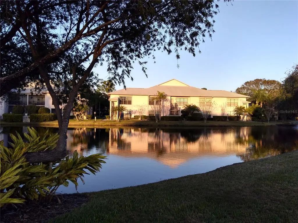 3366 Mermoor Drive 206, PALM HARBOR