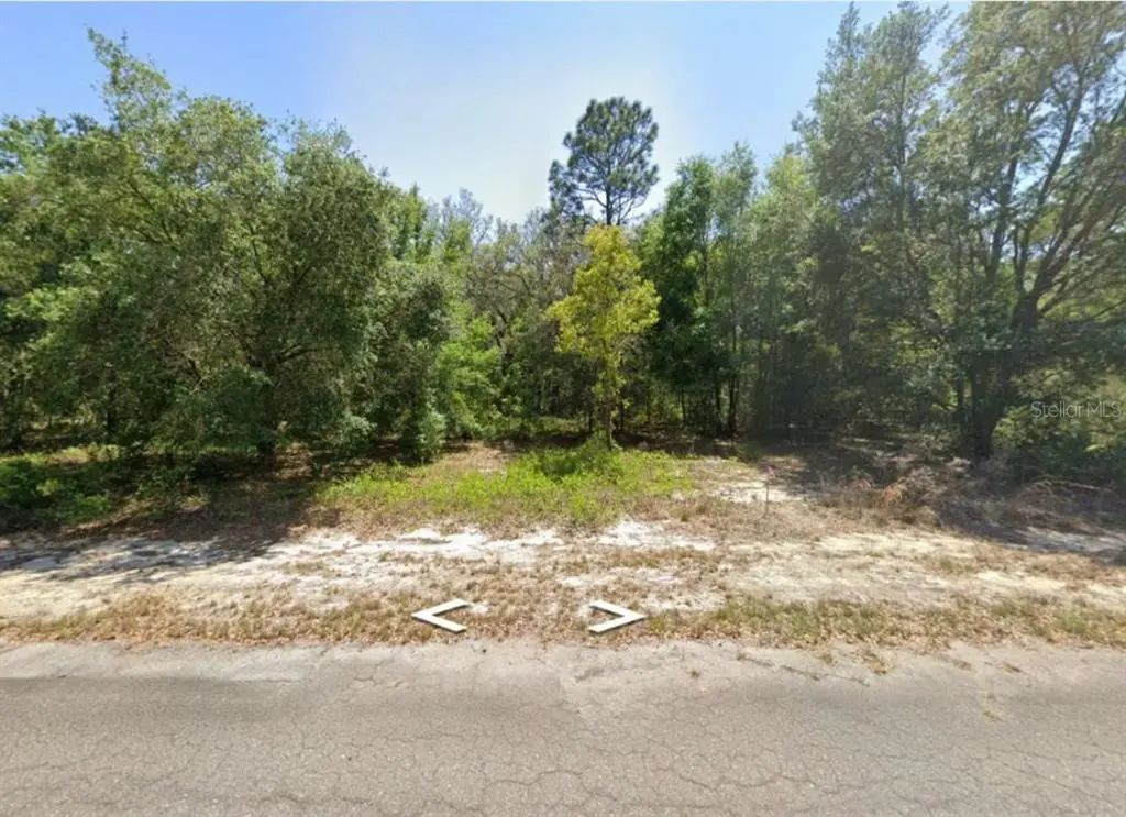 Guava Lane Place, OCKLAWAHA