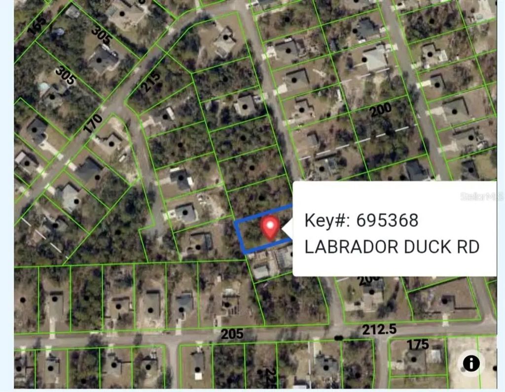 11335 Labrador Duck Road, WEEKI WACHEE