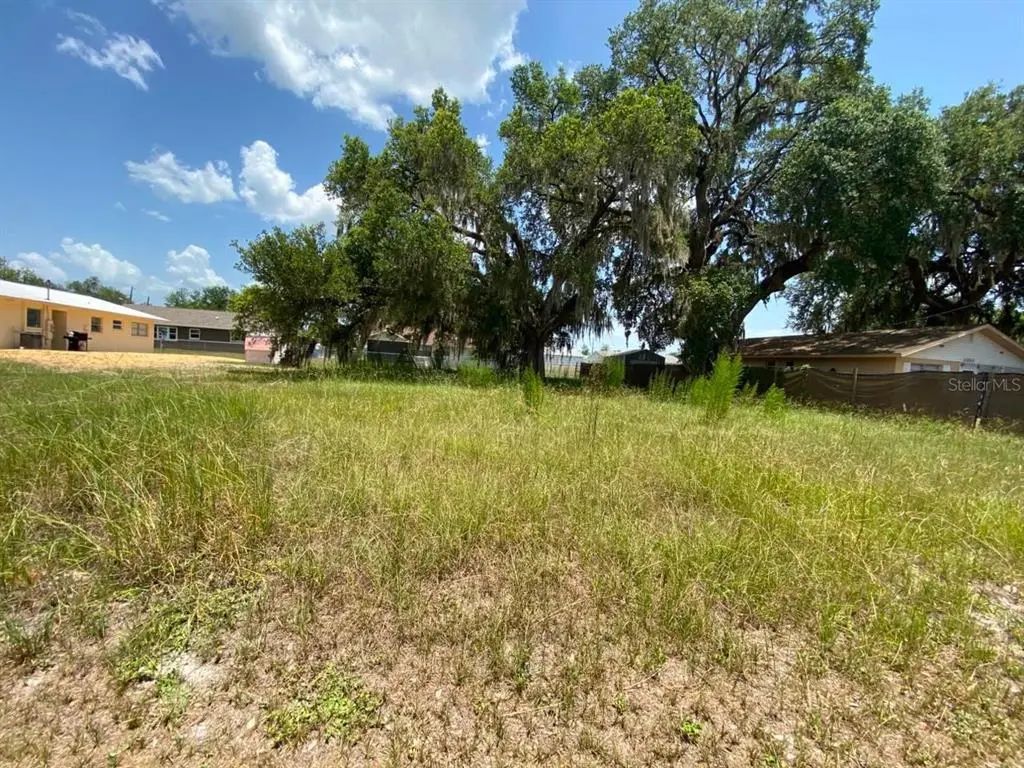 Bluejay Terrace, DADE CITY