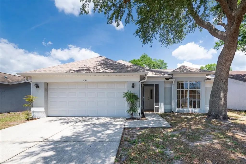 4704 Lighterwood Way, VALRICO