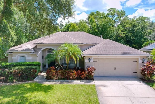 10615 Chambers Drive, TAMPA