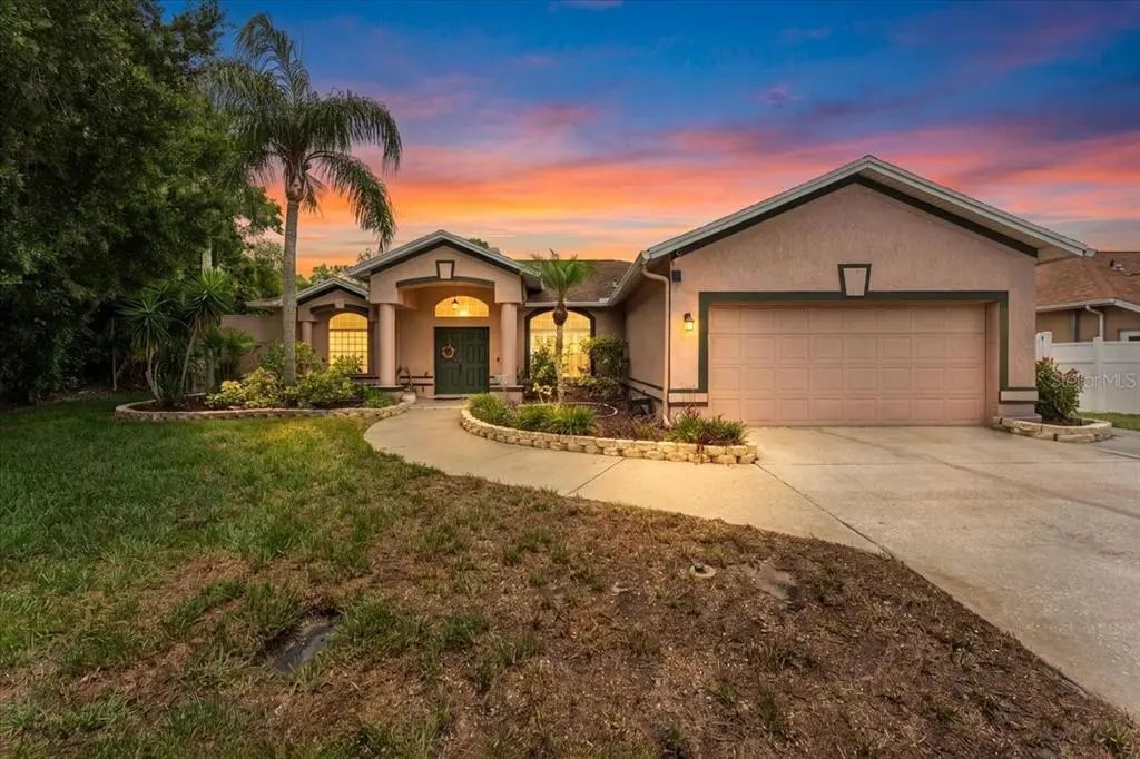 22804 Willow Lakes Drive, LUTZ