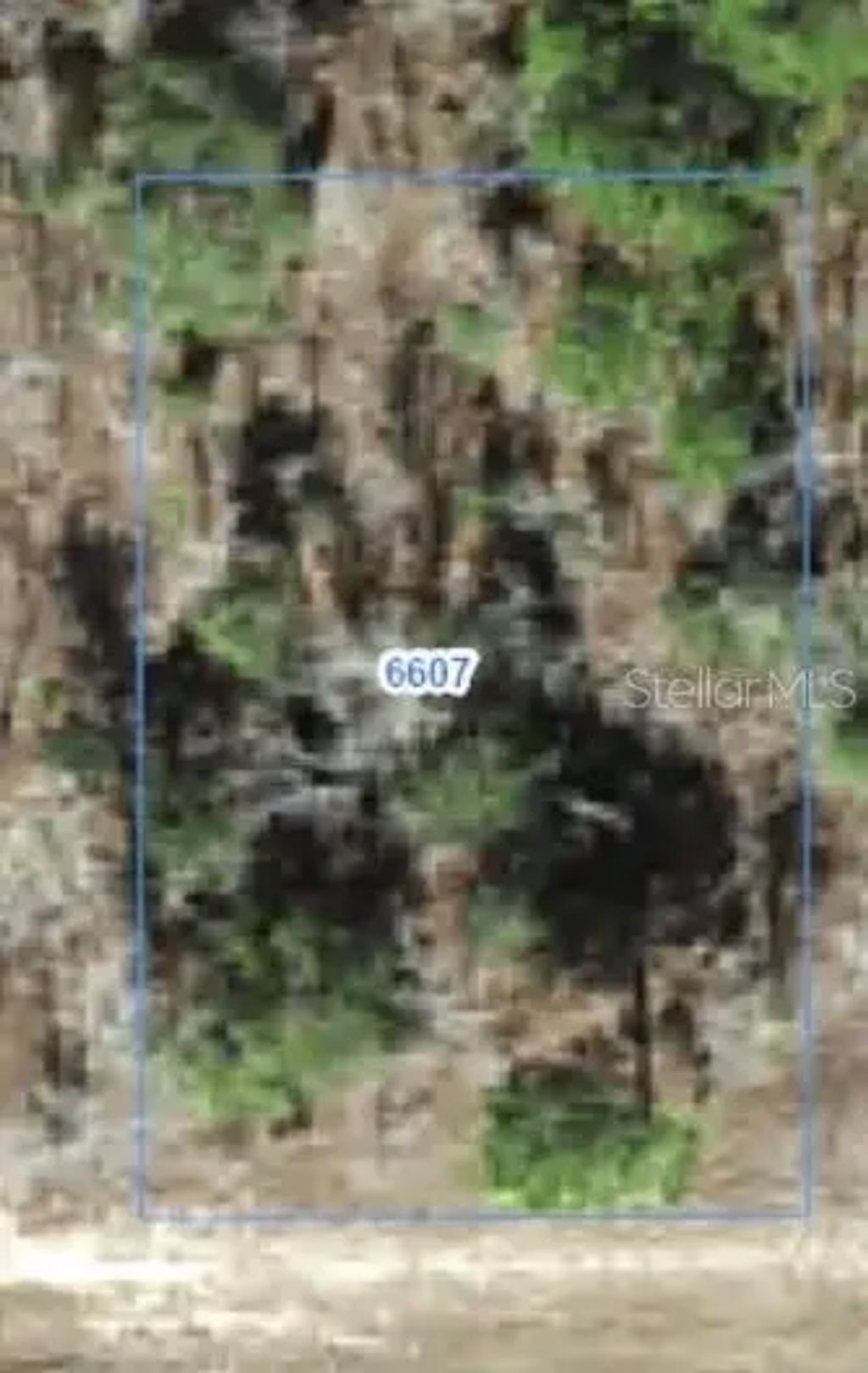 6607 N Bedstrow Boulevard, CITRUS SPRINGS
