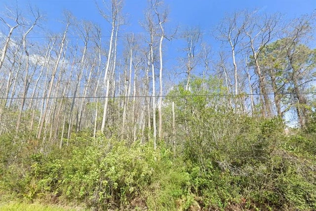 Mardi Gras Street, ORLANDO