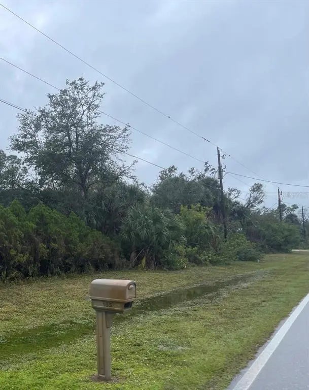 181 Cougar Way, ROTONDA WEST