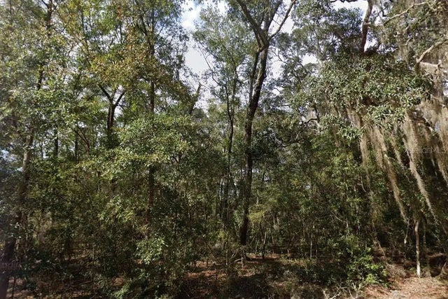 Walker Drive, INTERLACHEN