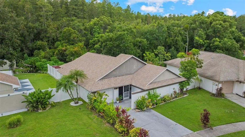 11815 Hickorynut Drive, TAMPA