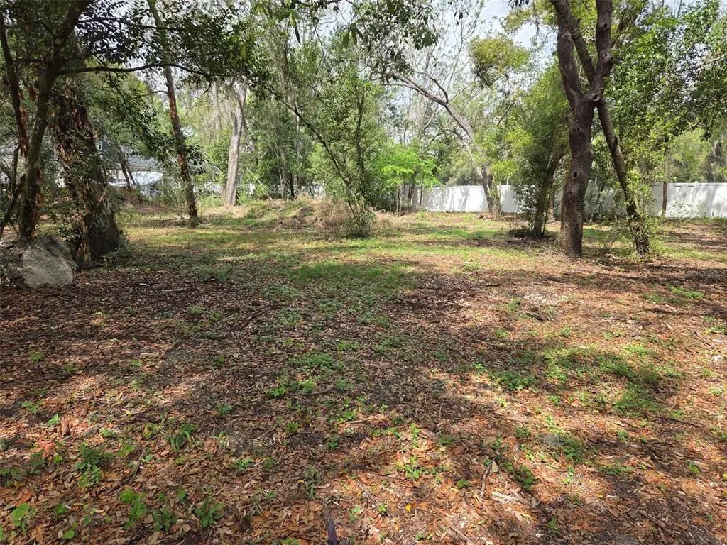 Kelly Lynn Court, ZEPHYRHILLS