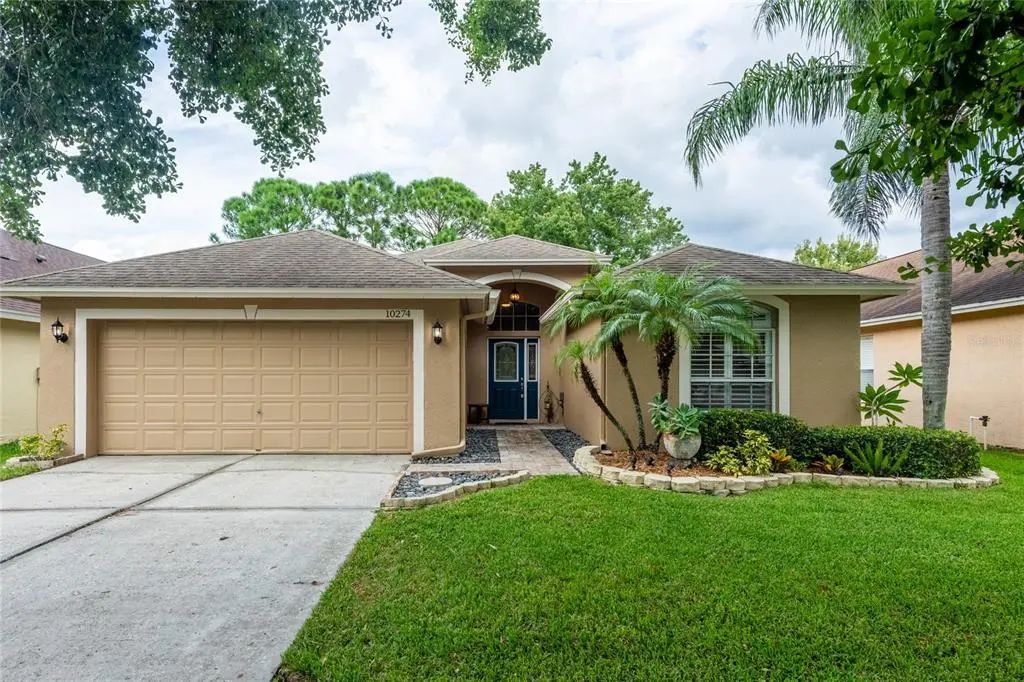 10274 Oasis Palm Drive, TAMPA