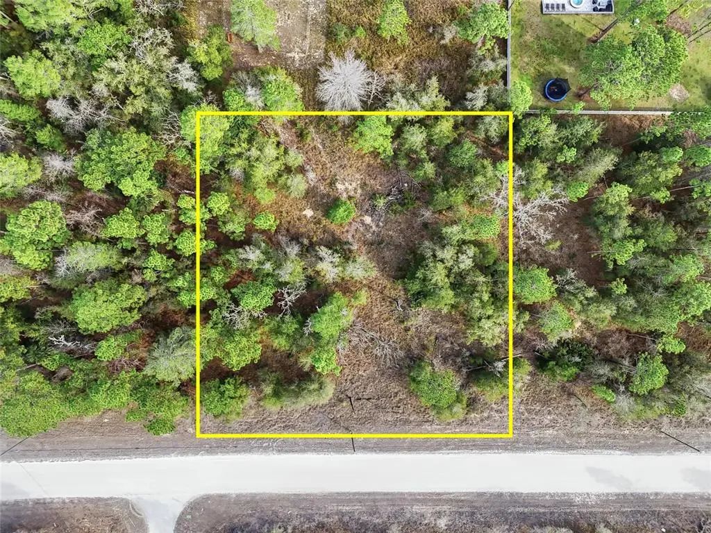 Chimney Swift Road, WEEKI WACHEE