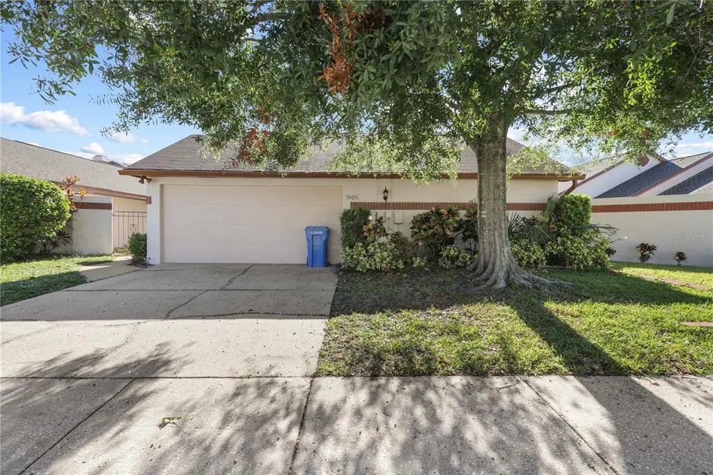 7005 Silvermill Drive, TAMPA