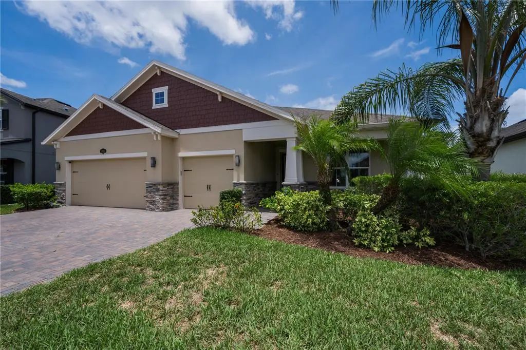 18233 Roseate Drive, LUTZ