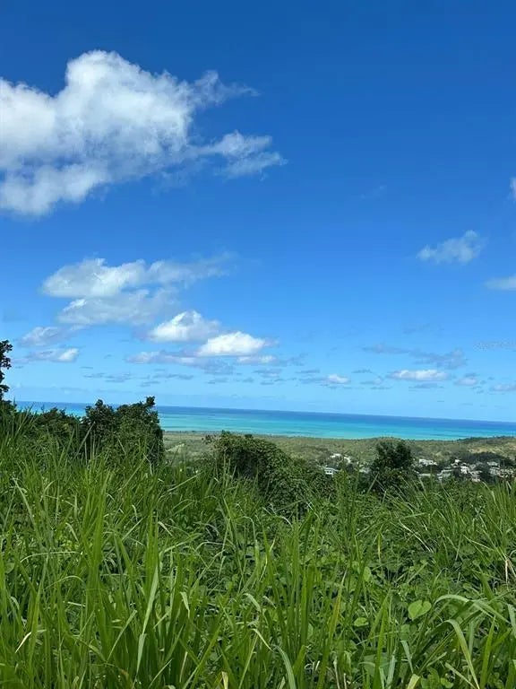 Pr 984 Km 1.5 Int. Juanmartin Ward, LUQUILLO