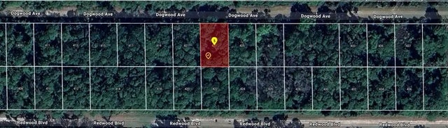 423 Dogwood Avenue, GEORGETOWN