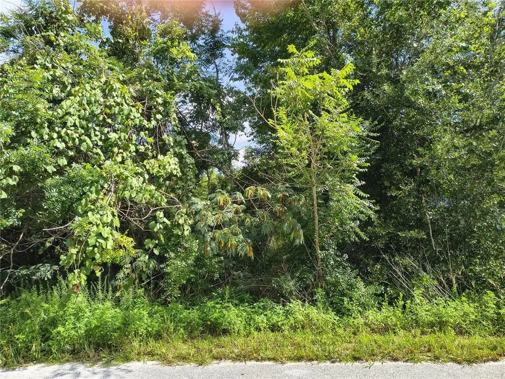 Tbd Nw 6th Place, OCALA