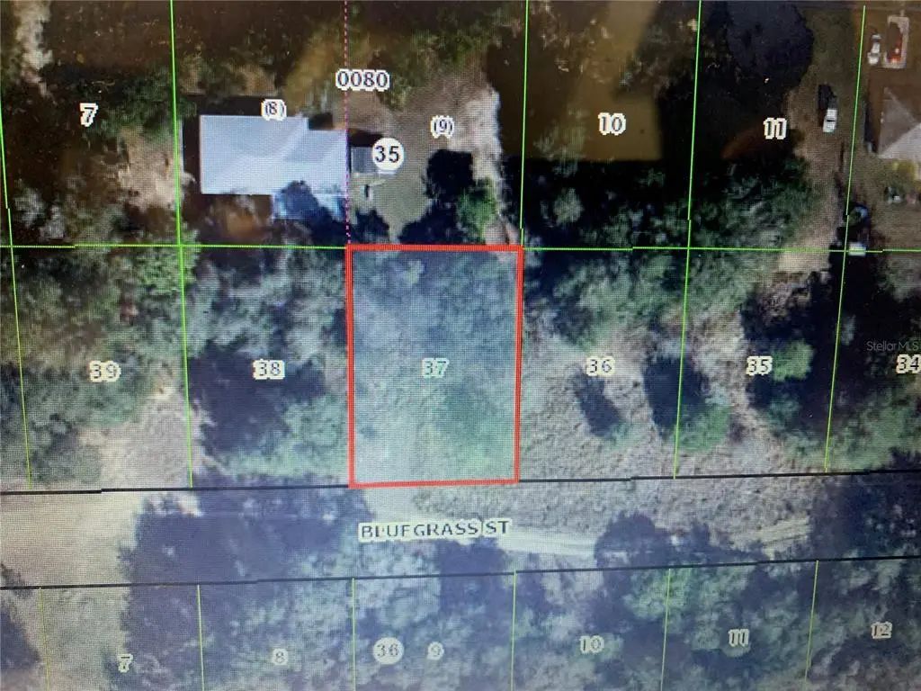 2408 Bluegrass Street, INVERNESS