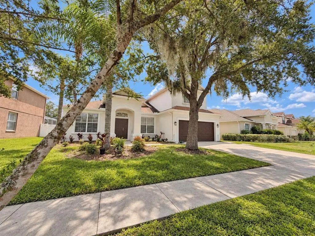 27042 Firebush Drive, WESLEY CHAPEL