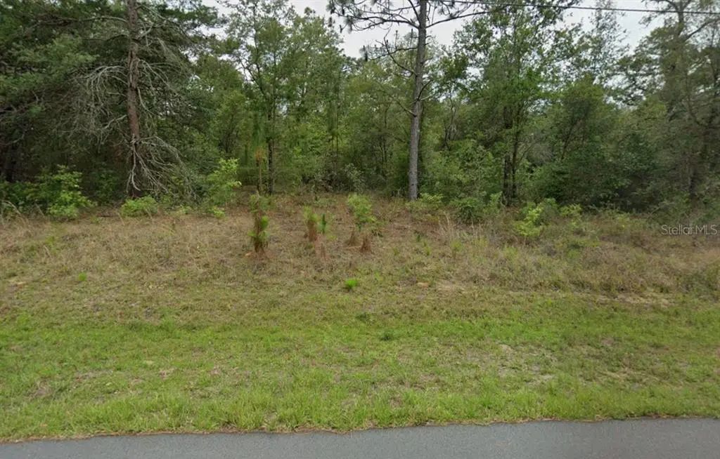 3054 W Hamlet Place, CITRUS SPRINGS