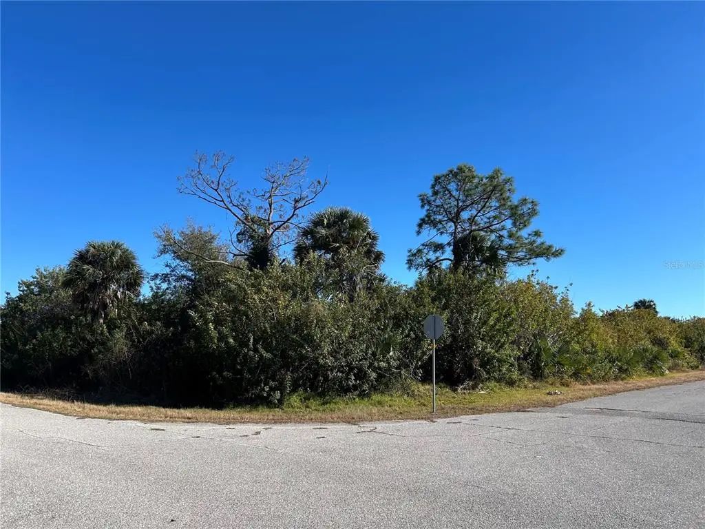 12145 Surrey Ave, PORT CHARLOTTE