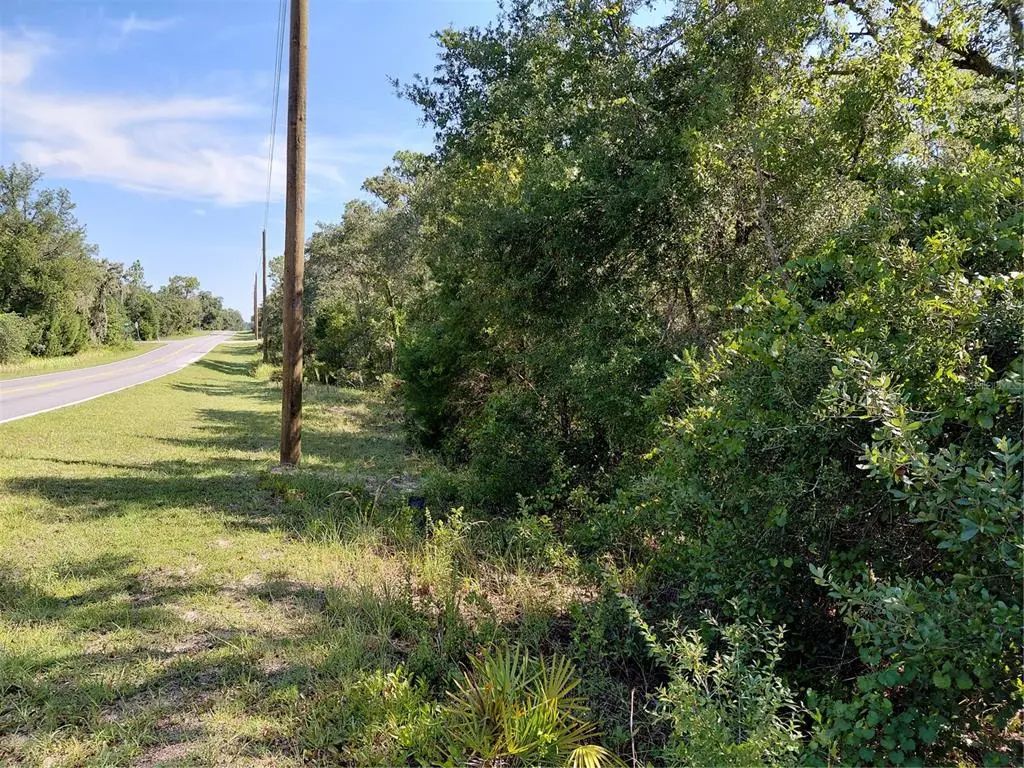 Wheystone Drive, WEBSTER