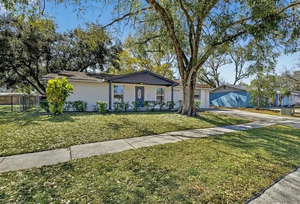 3706 Mistwood Drive, TAMPA