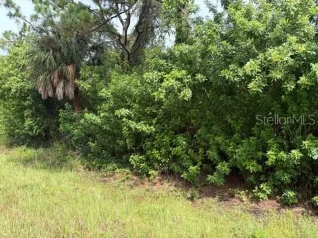 1317 Grendon Street, PORT CHARLOTTE
