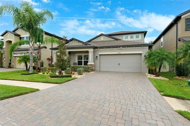 19433 Redwood Point Drive, TAMPA