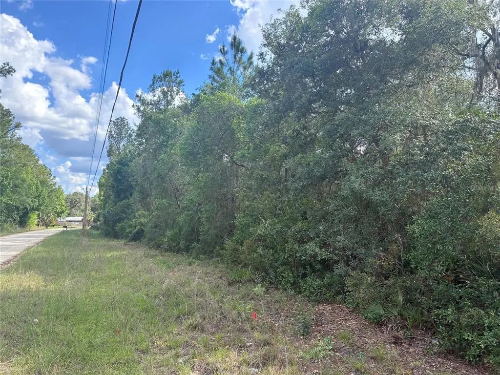 16464 Ne 35 Road, CITRA