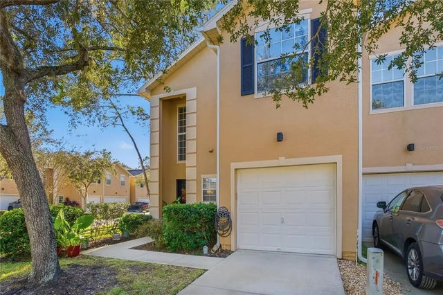 16302 Newbury Palms Court, TAMPA