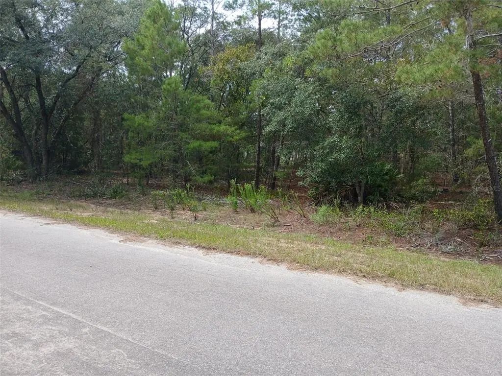 Se Fisher Course, OCKLAWAHA