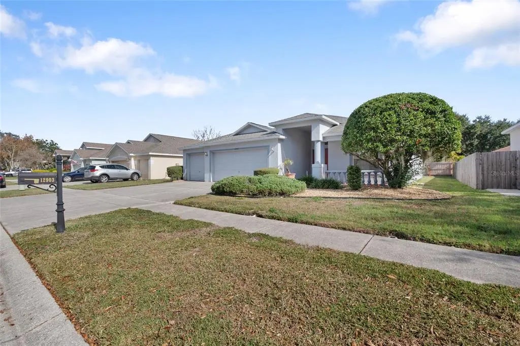 12903 Lake Ventana Drive, TAMPA
