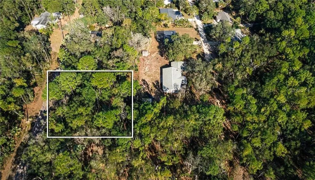 8395 N Ira Martin Avenue, Crystal River