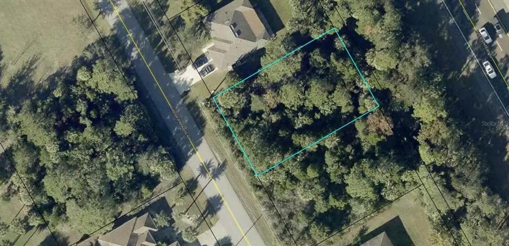 176 Bird Of Paradise Drive, PALM COAST