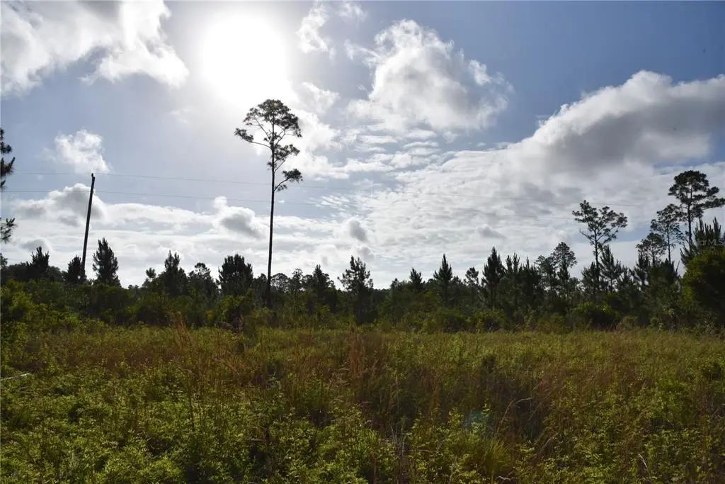 22370 Ne 130th Avenue, FORT MC COY
